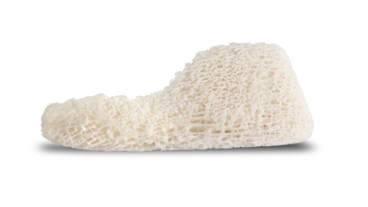 Puros® Customized Block Allograft